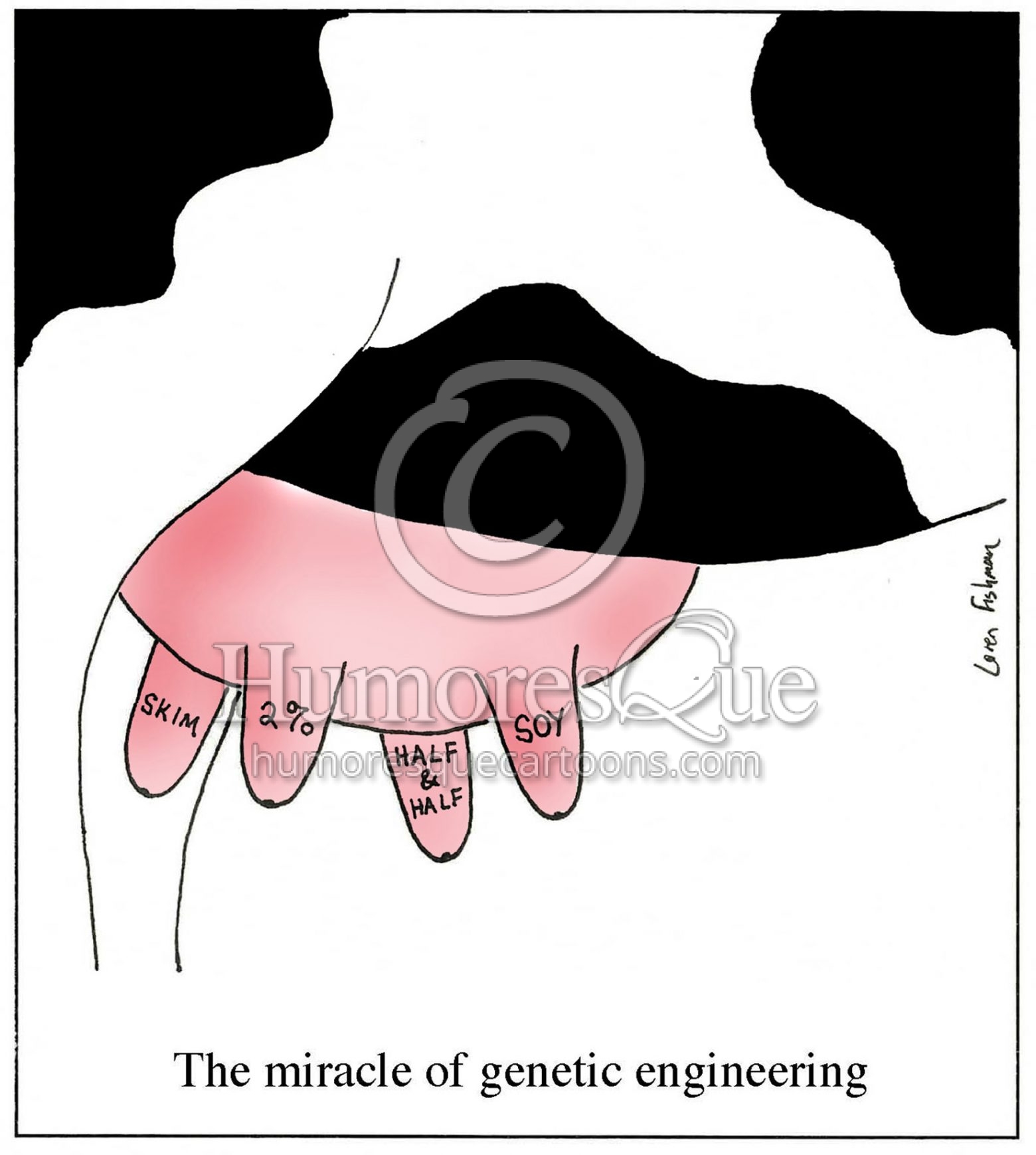 miracle of GMO cow udder cartoon