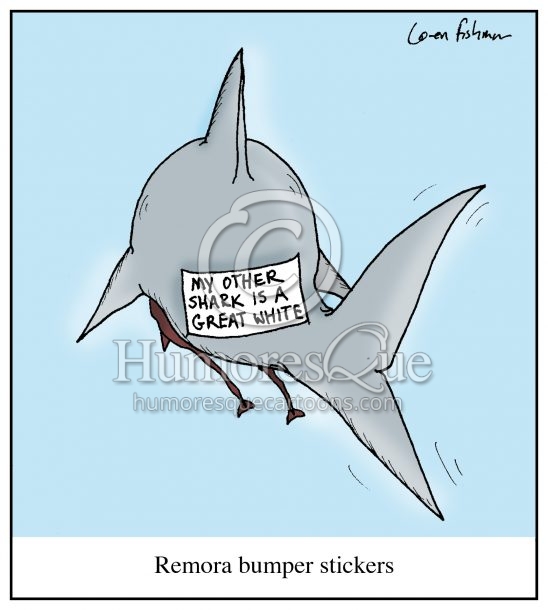 shark remora bumber sticker cartoon