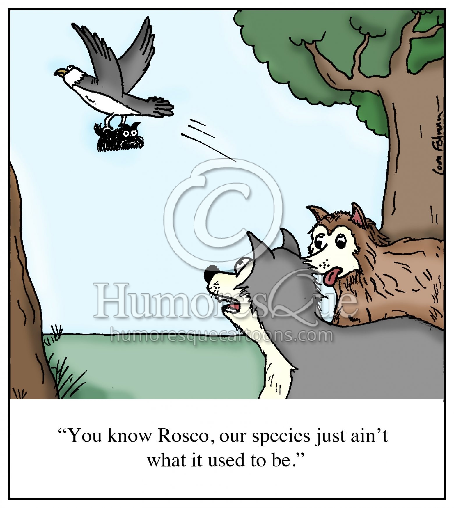 big dogs vs small dogs cartoon