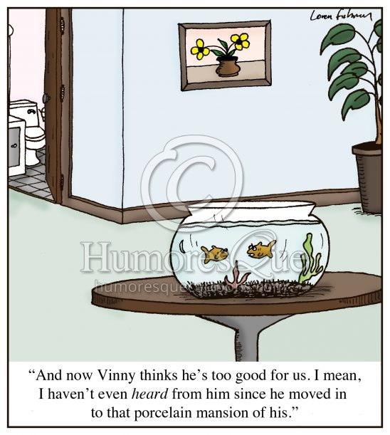 goldfish flushed down the toilet cartoon