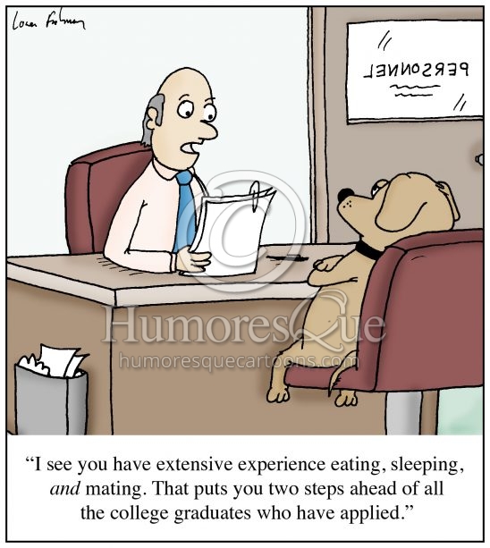 dog with experience eating sleeping and mating cartoon