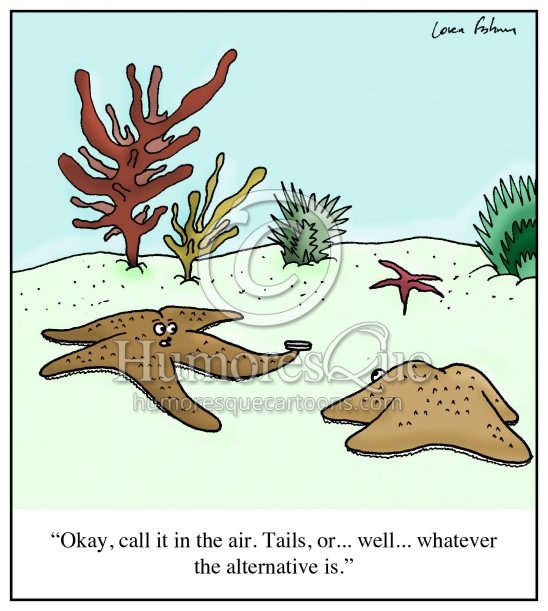 starfish flipping a coin calling tails cartoon