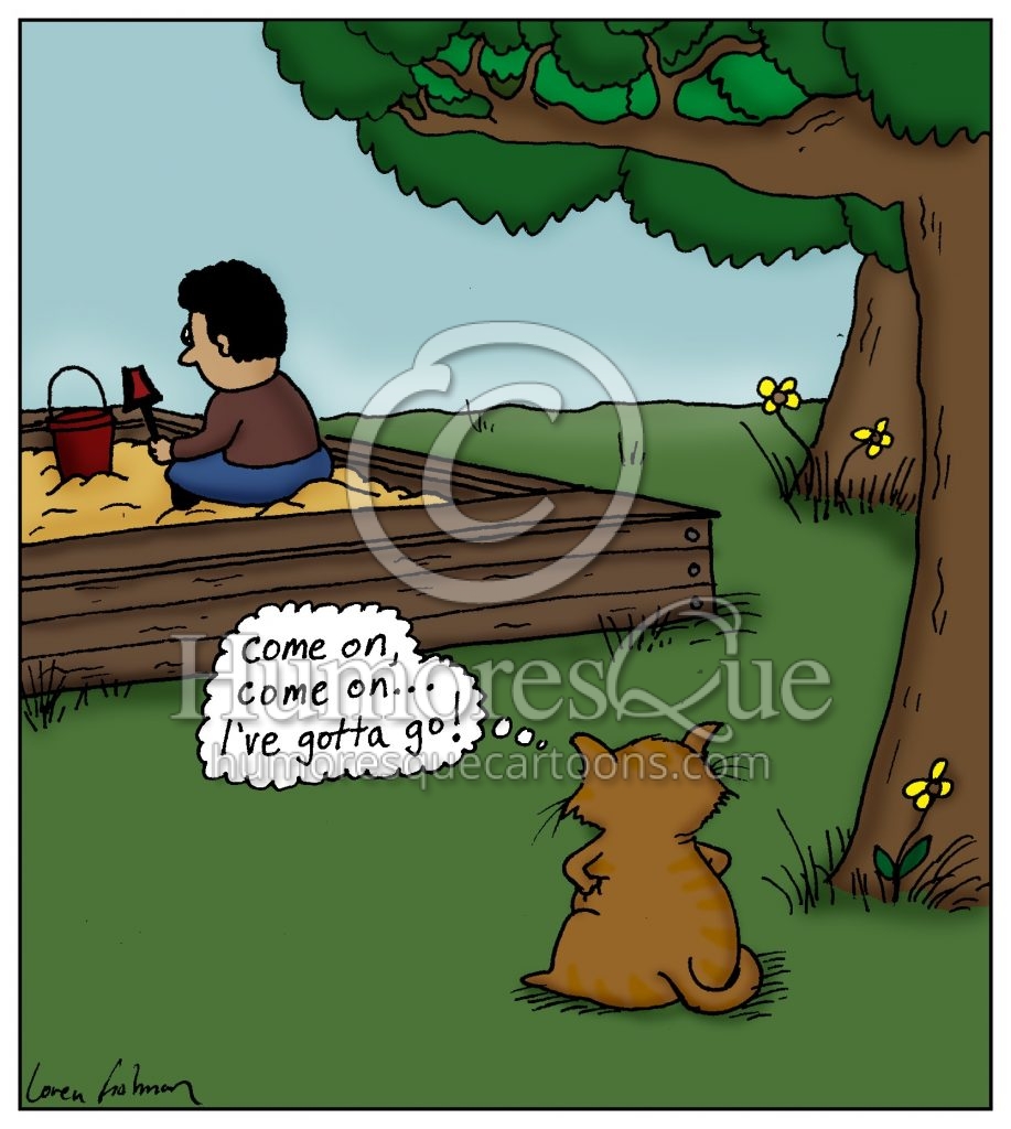 cat going to bathroom with kid in sandbox cat cartoon