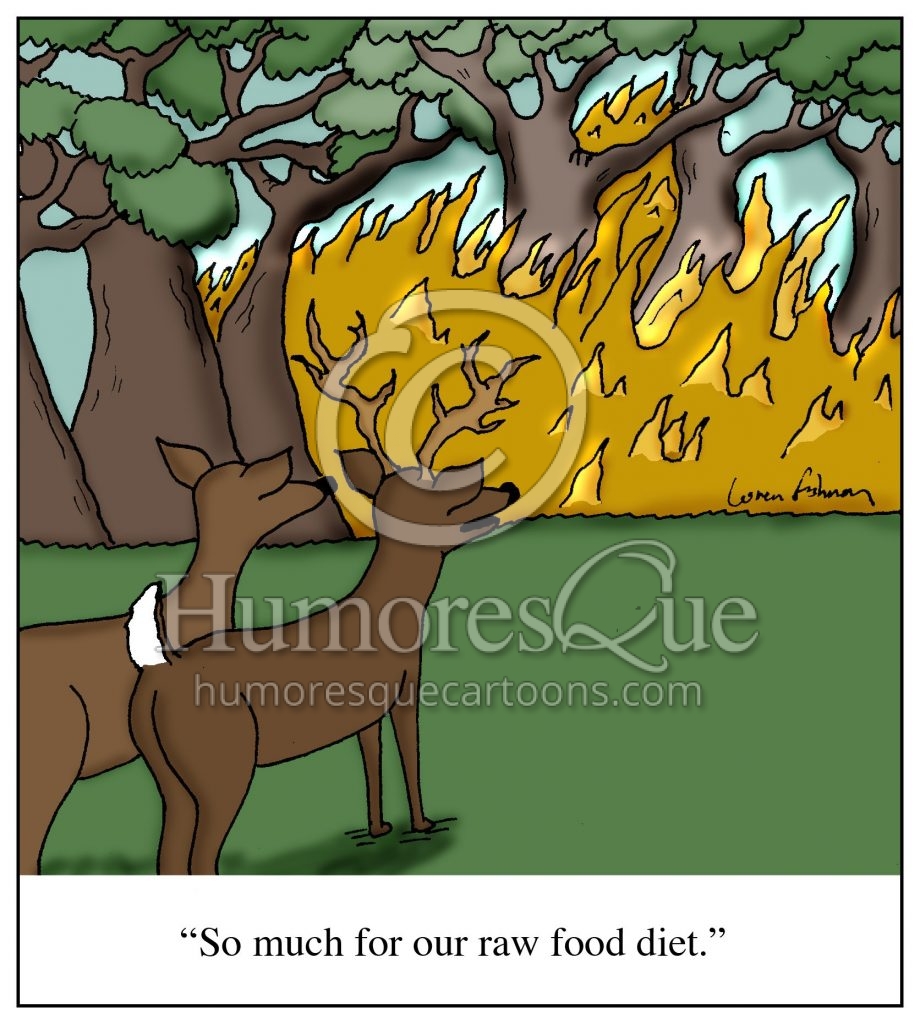 raw food paleo diet cartoon