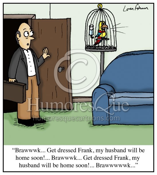 parrot exposing cheating wife marriage cartoon