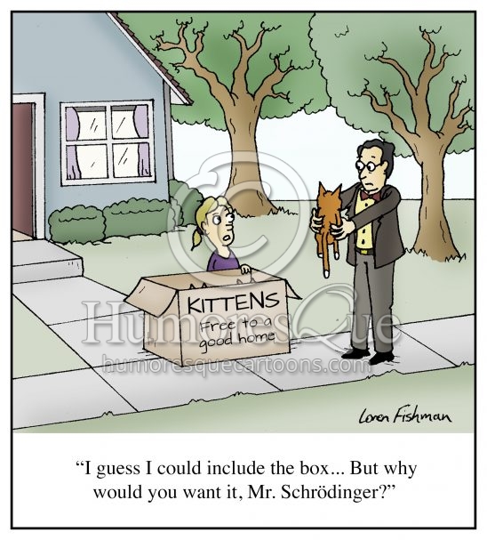 Schrödinger's Cat funny physics and quantum mechanics cartoon